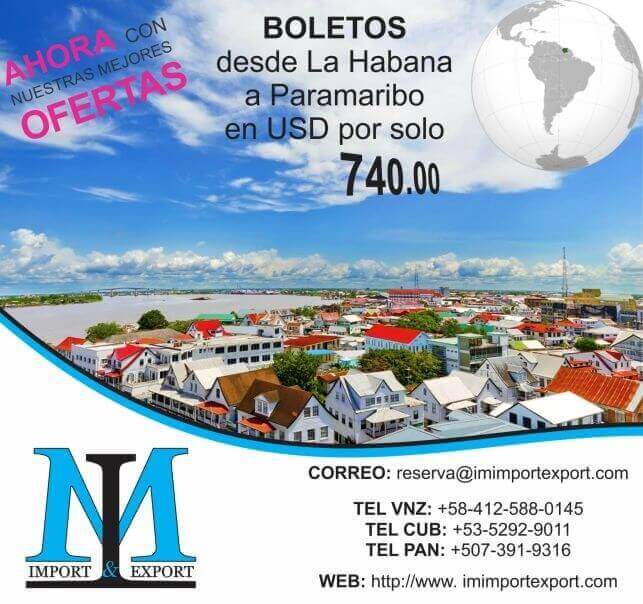 Portfolio IMarketing Flyer - IM IMPORT & EXPORT